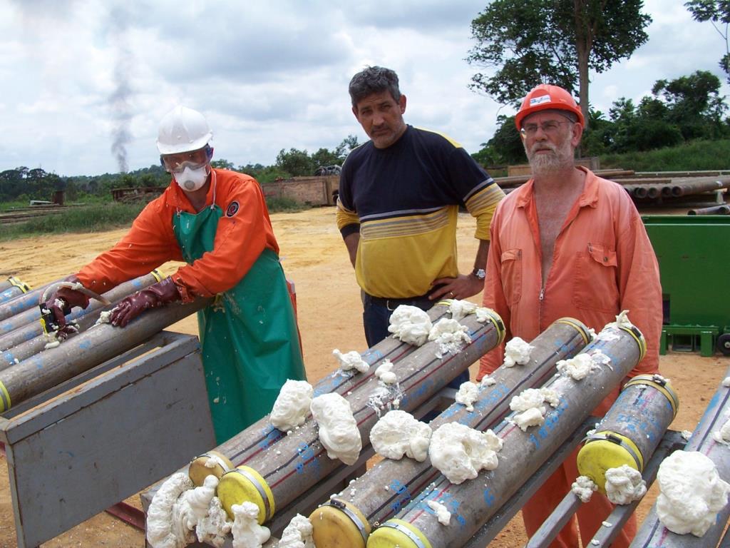 Fresh core samples